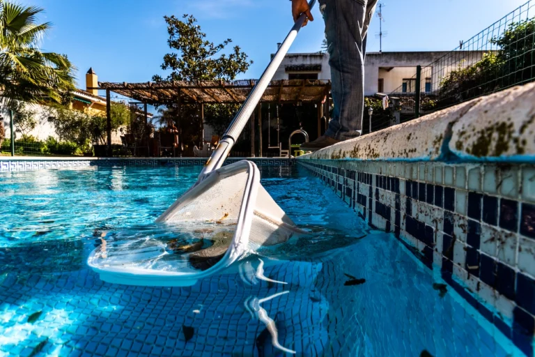 pool-net-leaf-skimmer-rake-in-summer-2024-10-22-08-58-30-utc
